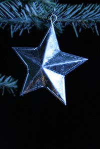 2135698310_c779c2f8d3_b