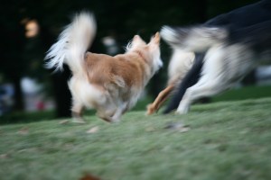 2925094345_624e28f5e1_b