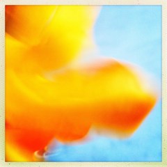 7505372906_226767c8f5_b