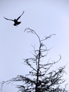 8254174933_dd536912a2_b