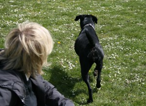 2393287537_1788f003fb_b