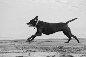 5207235883_d5a55a4807_b