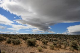 2781942861_d83cc52858_o