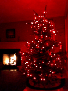 Screen Shot 2014-01-20 at 9.12.08 AM